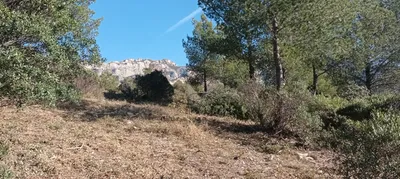 trouver jardinier entretien pas cher cassis