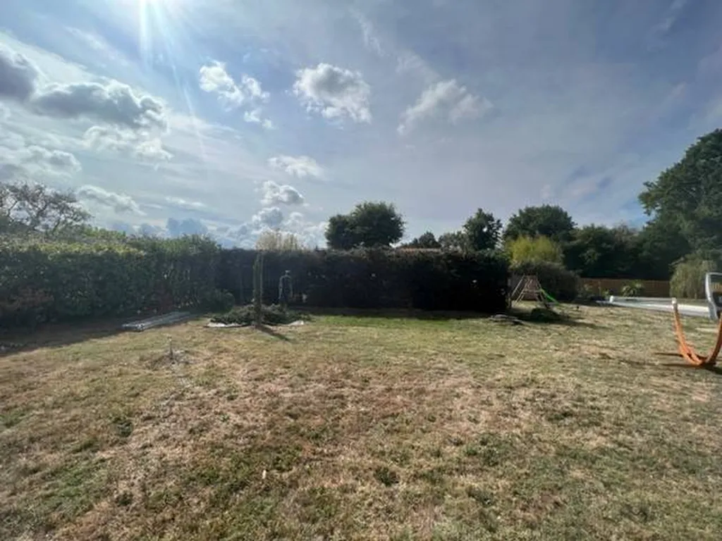 Choisir un professionnel pour rabattre une haie de cyprès 