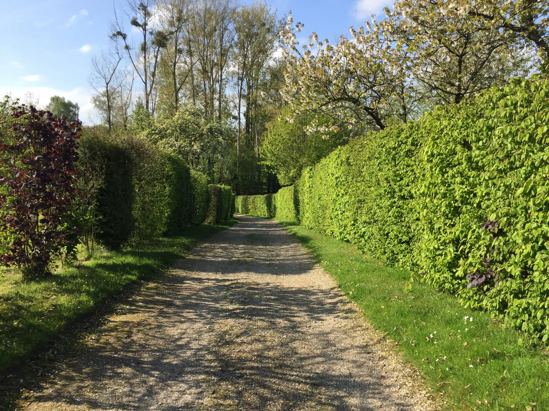 MAISON NORMANDE proche de PONT L'EVEQUE, CALVADOS 14