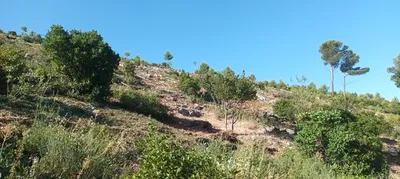 O L D Marseille 9ème La Panouse. 