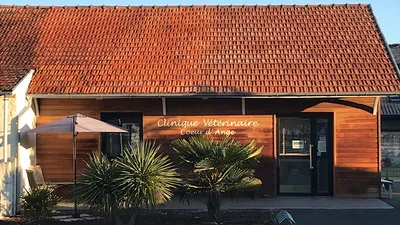 quel vétérinaire compétent et doux pour mon animal sur le Bassin d'Arcachon