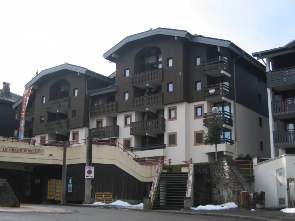 Tuiles GERARD sur Le Grand Tetras à MORILLON 2