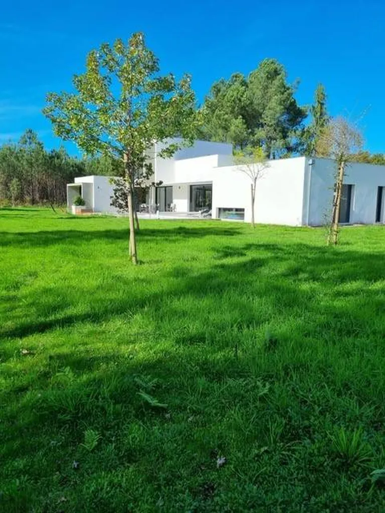 Comment faire pour scarifier le gazon de mon jardin situé dans les Landes