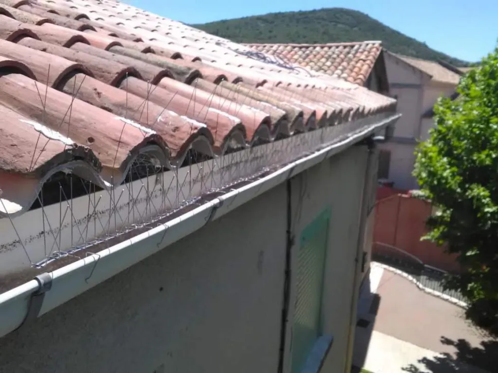 anti pigeons peynier 13790