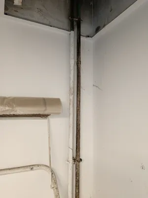 Traitement contre les souris dans un magasin situé dans une zone industrielle de Rillieux-la-Pape