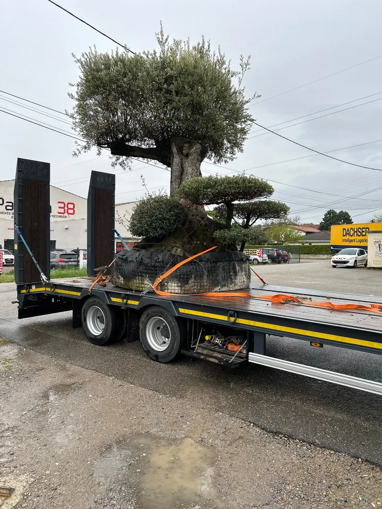 Terrassement divers avec la conception d’un enrochement sur la commune de Divonne-les-Bains 