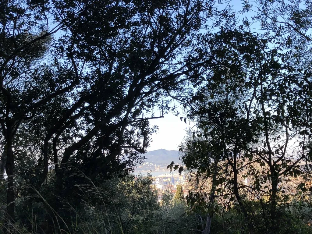 VENDU! Terrain 683 m² à TOULON