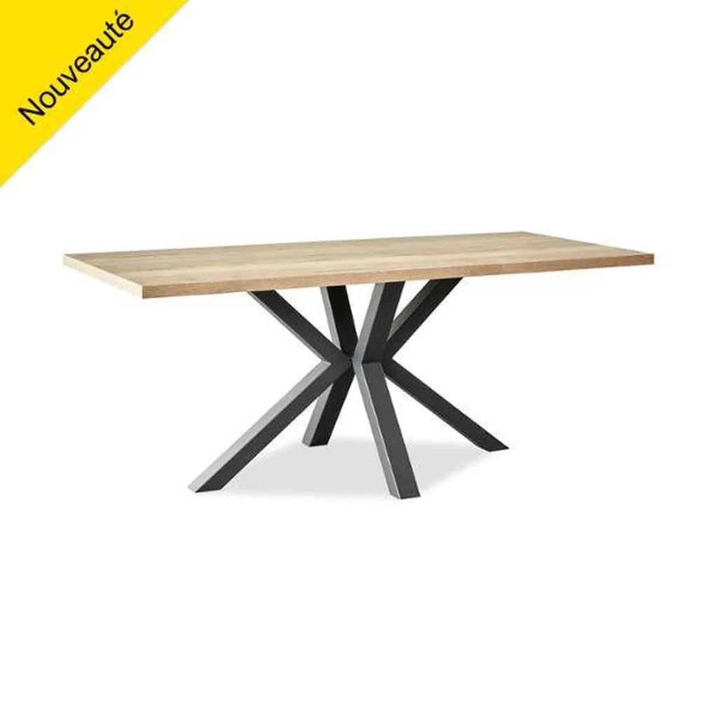 TABLE RECTANGLE FIXE ESTIVAL