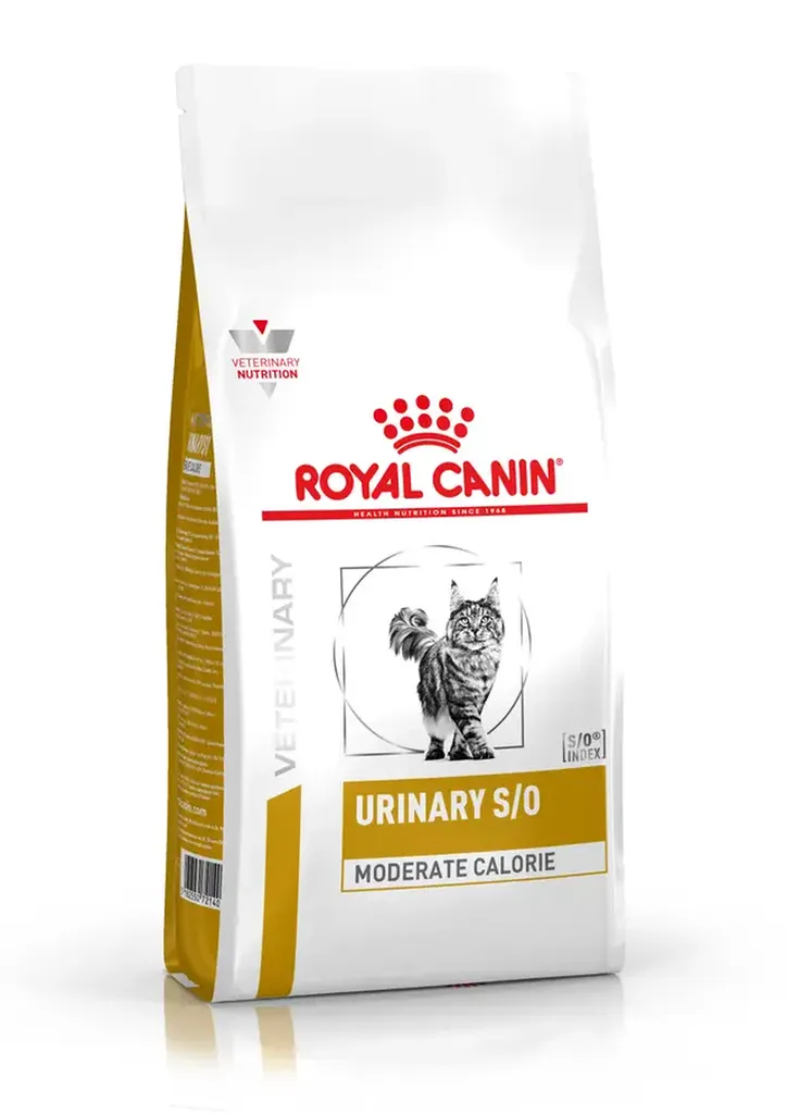 Croquettes Royal Canin chien et chat : nutrition sur mesure et haute précision