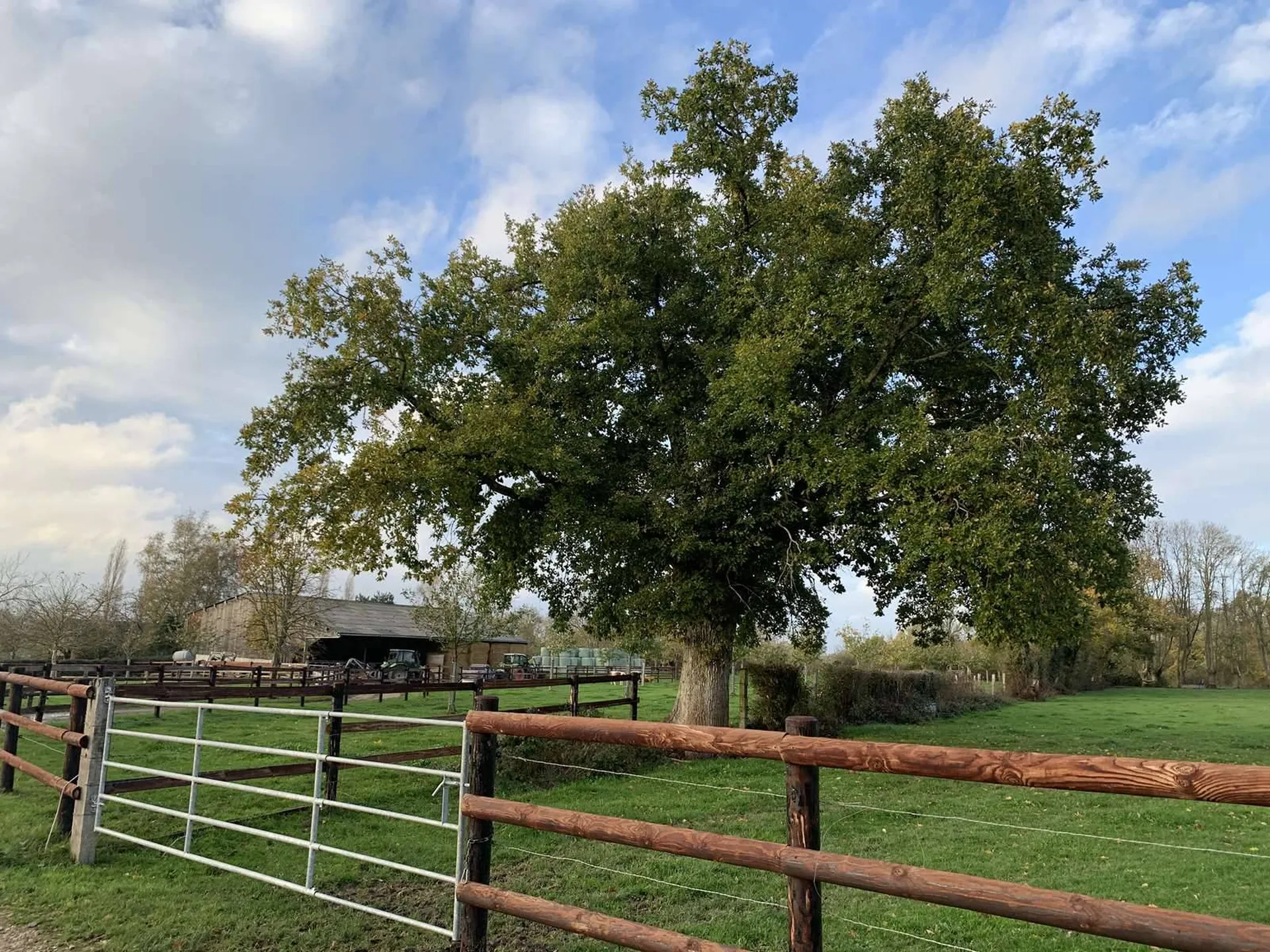 A vendre dans le PAYS D'AUGE (CALVADOS)  : PROPRIETE DE 31 HA avec MAISONS EN COLOMBAGES
