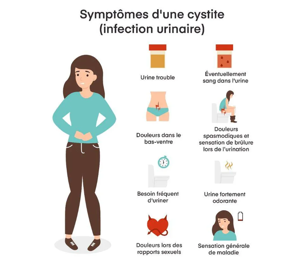 Traitement de l'infection urinaire ou la cystite par l'acupuncture à Lyon