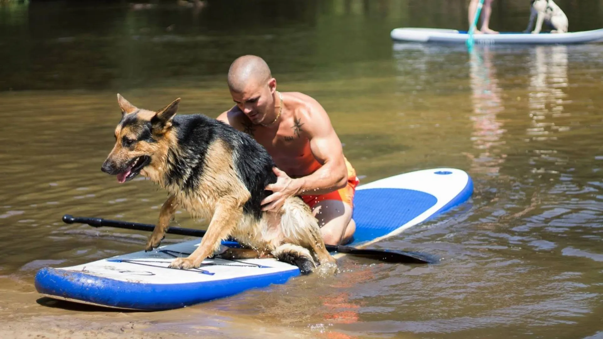 location Paddel avec son chien