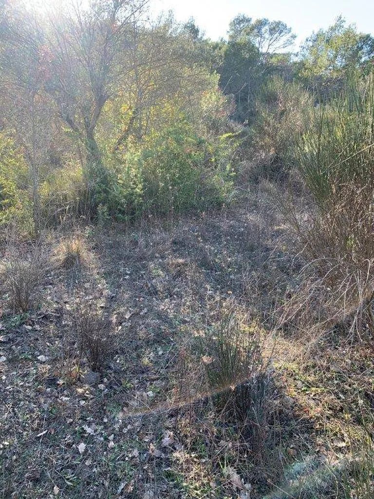 Terrain à construire proche Cuers