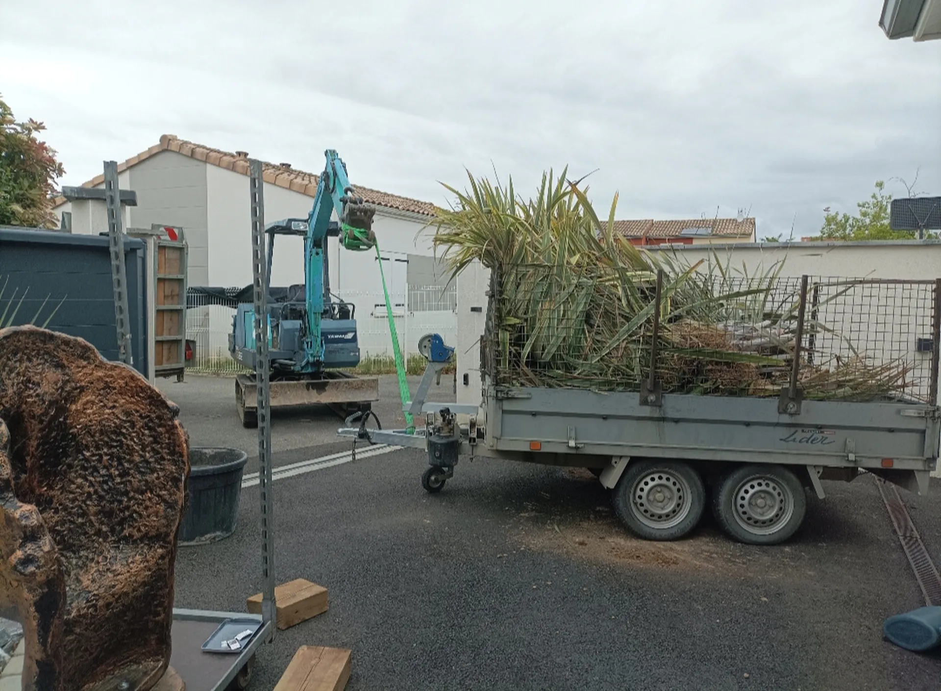 Entretien d'un jardin exotique sur Cugnaux, nettoyage de palmiers, yucca, dracaena...