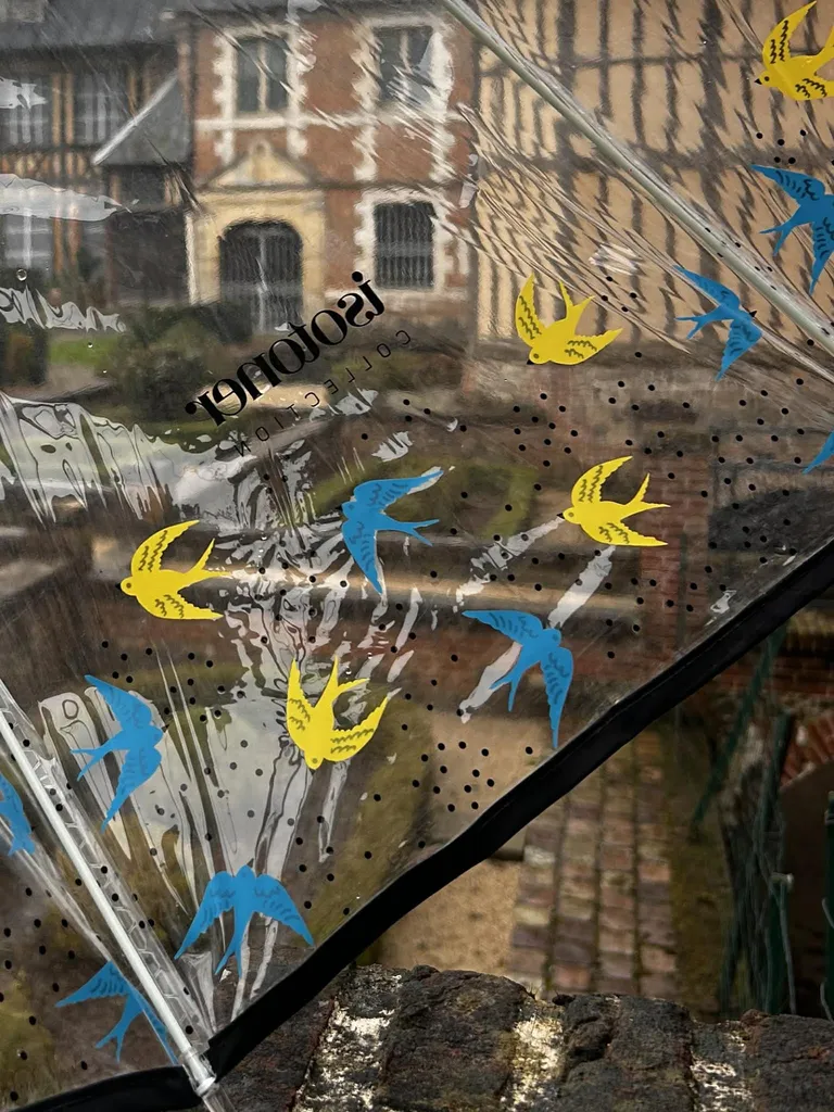 Parapluie Isotoner cloche transparent PVC/Hirondelles disponible chez Evasion Eu