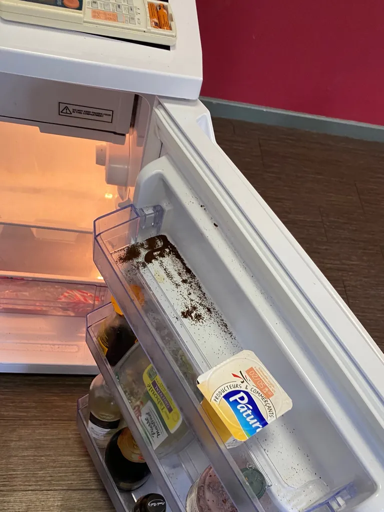 Traitement de cafard dans le frigo d’une agence immobilière d’Avignon (84)