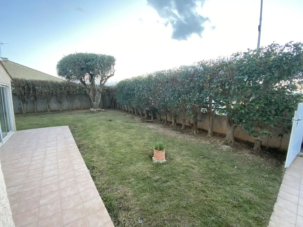 Taille de la haie de Troène et de L'olivier