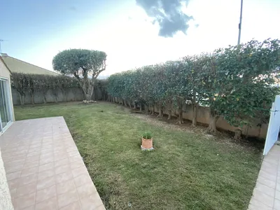 Taille de la haie de Troène et de L'olivier