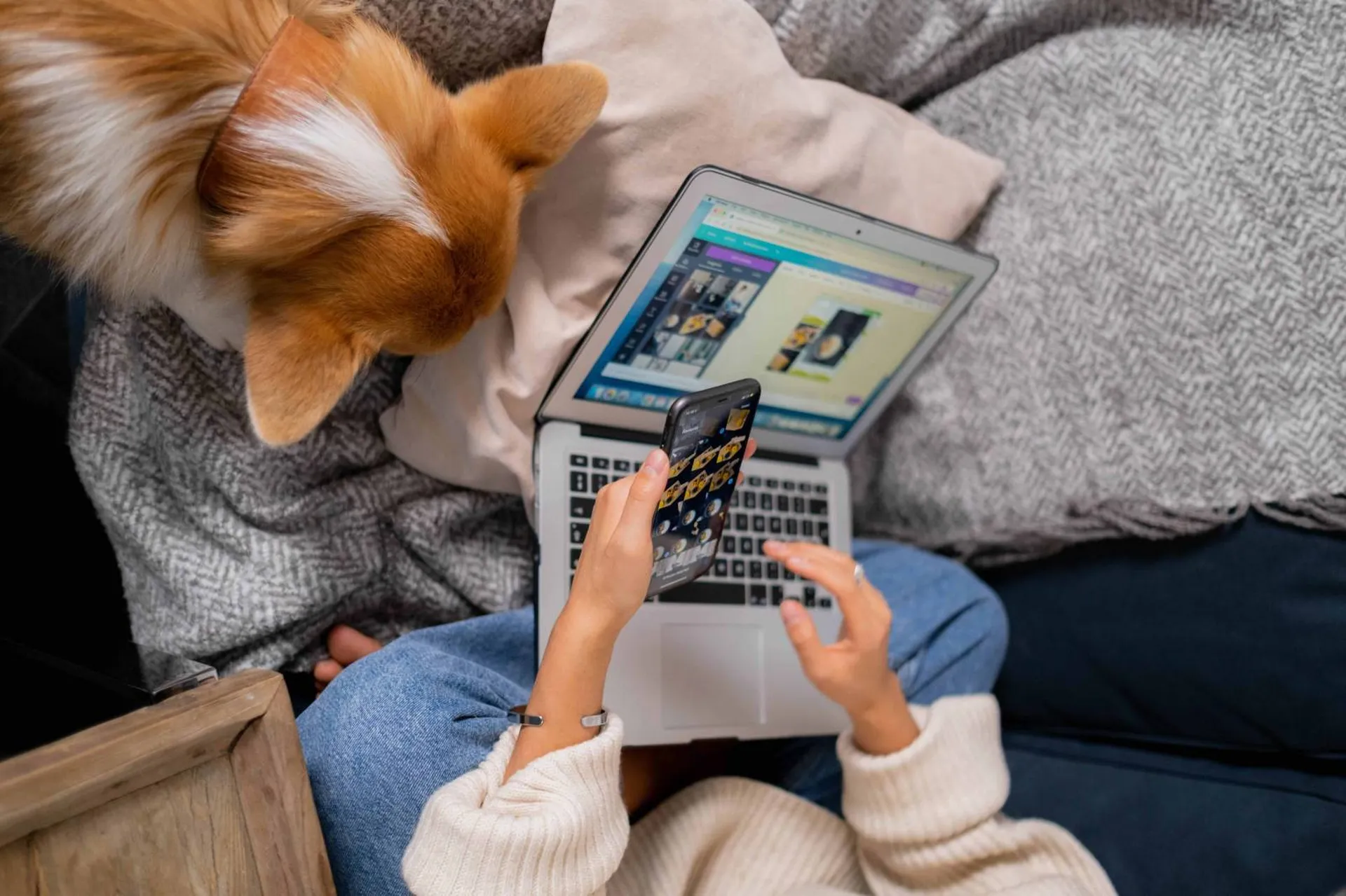 contacter un educateur canin sur bordeaux et le bassin d'arcachon