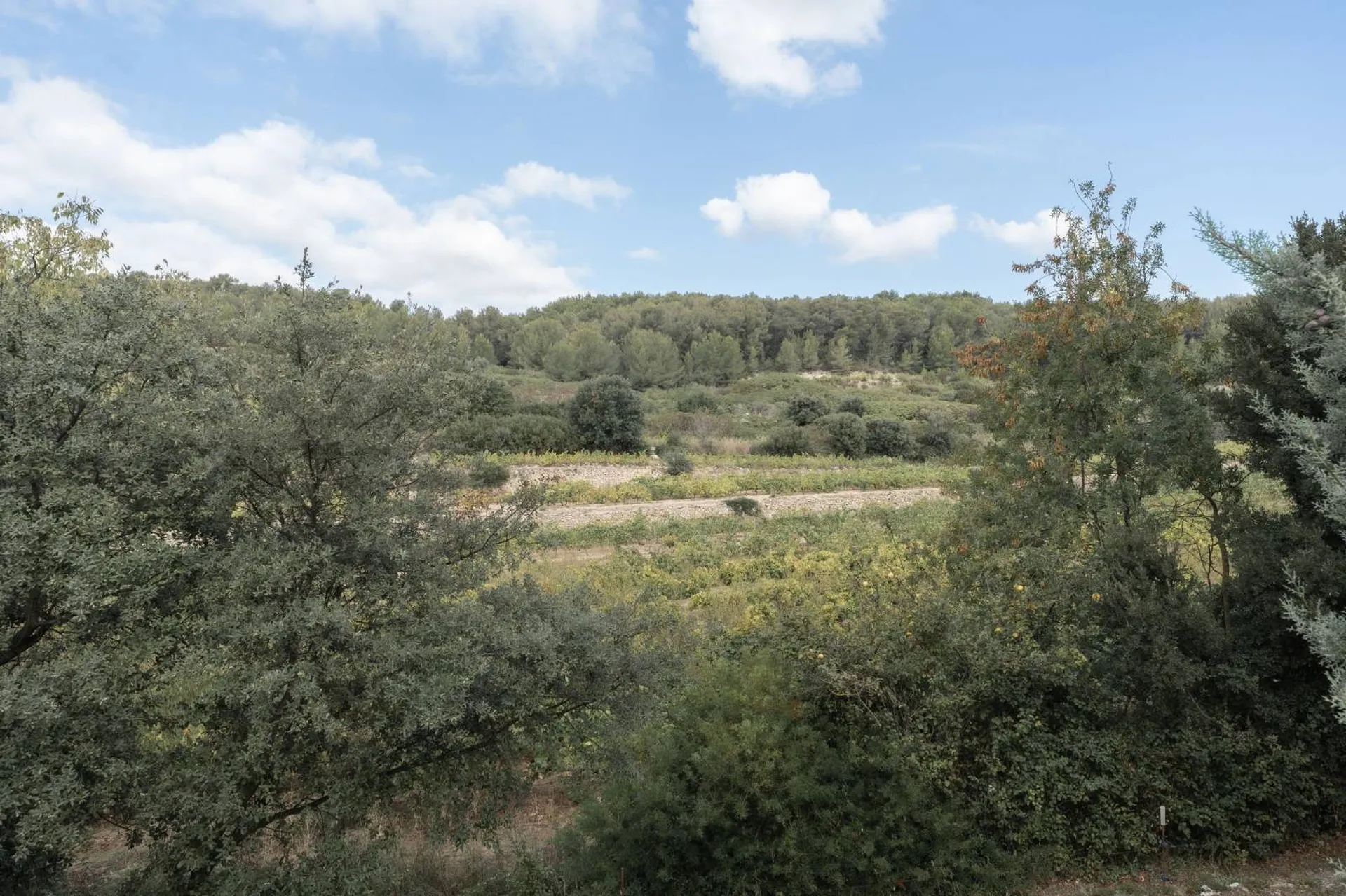 Cassis vignes maison à vendre avec piscine et studio