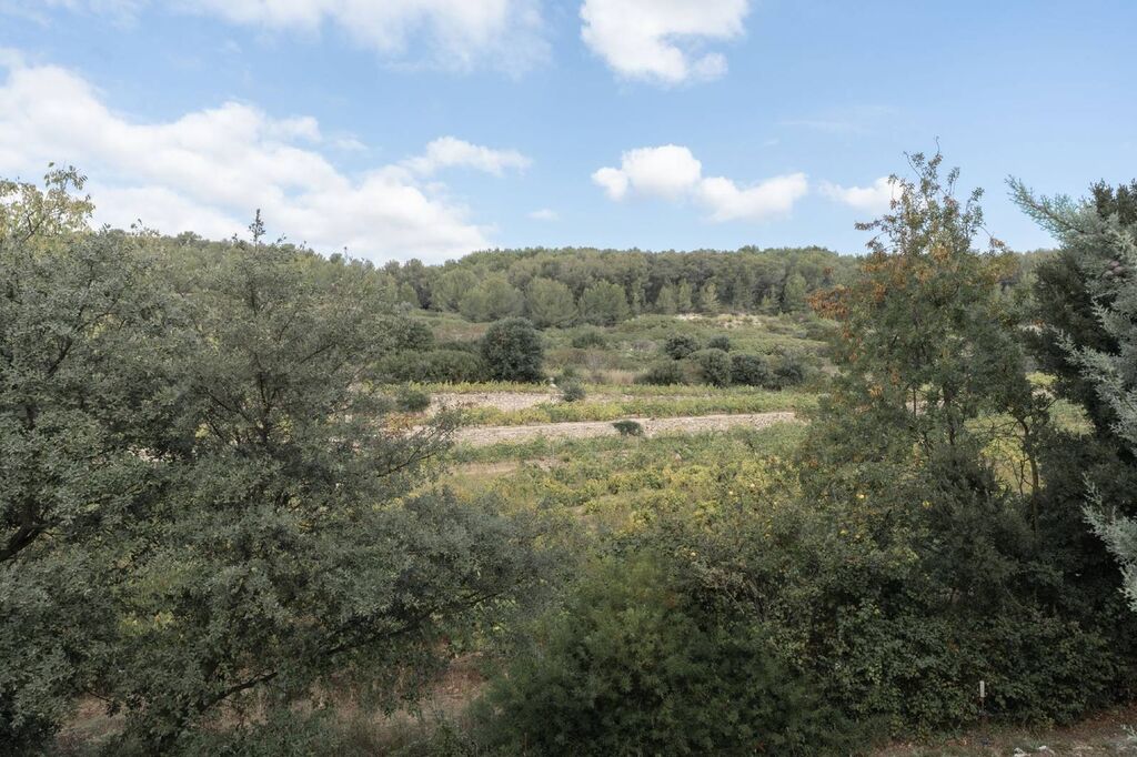 Cassis vignes maison à vendre avec piscine et studio