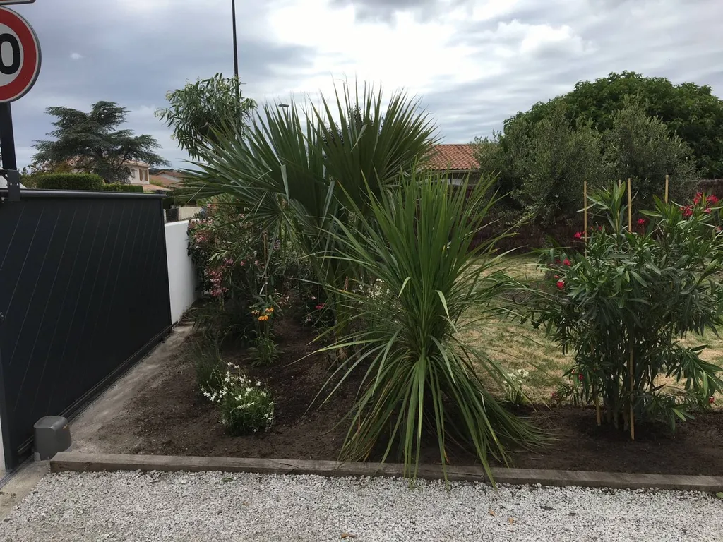 Plantation d'arbustes et de vivaces par un professionnel