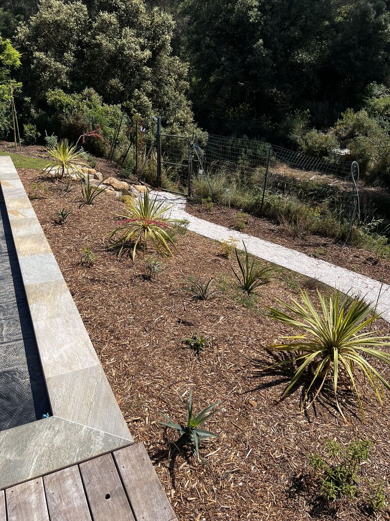 Aménagement paysager complet avec arrosage automatique, opus incertum et massifs méditerranéens au Beausset