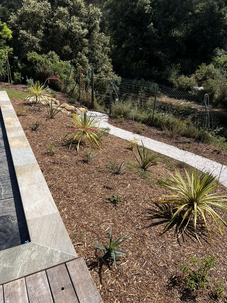 Aménagement paysager complet avec arrosage automatique, opus incertum et massifs méditerranéens au Beausset