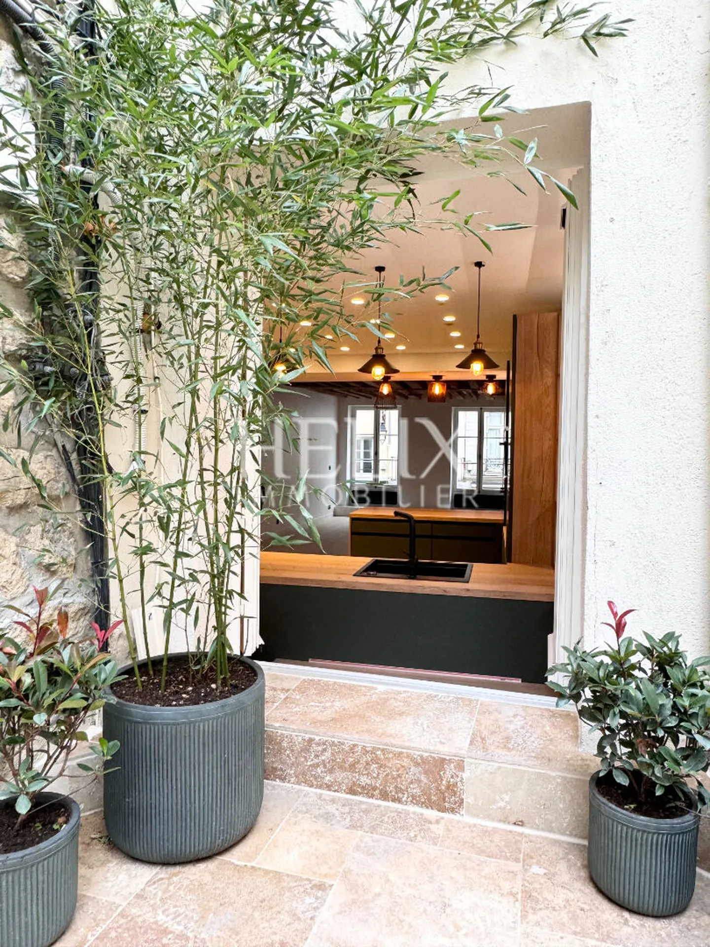 Terrasse végétalisée