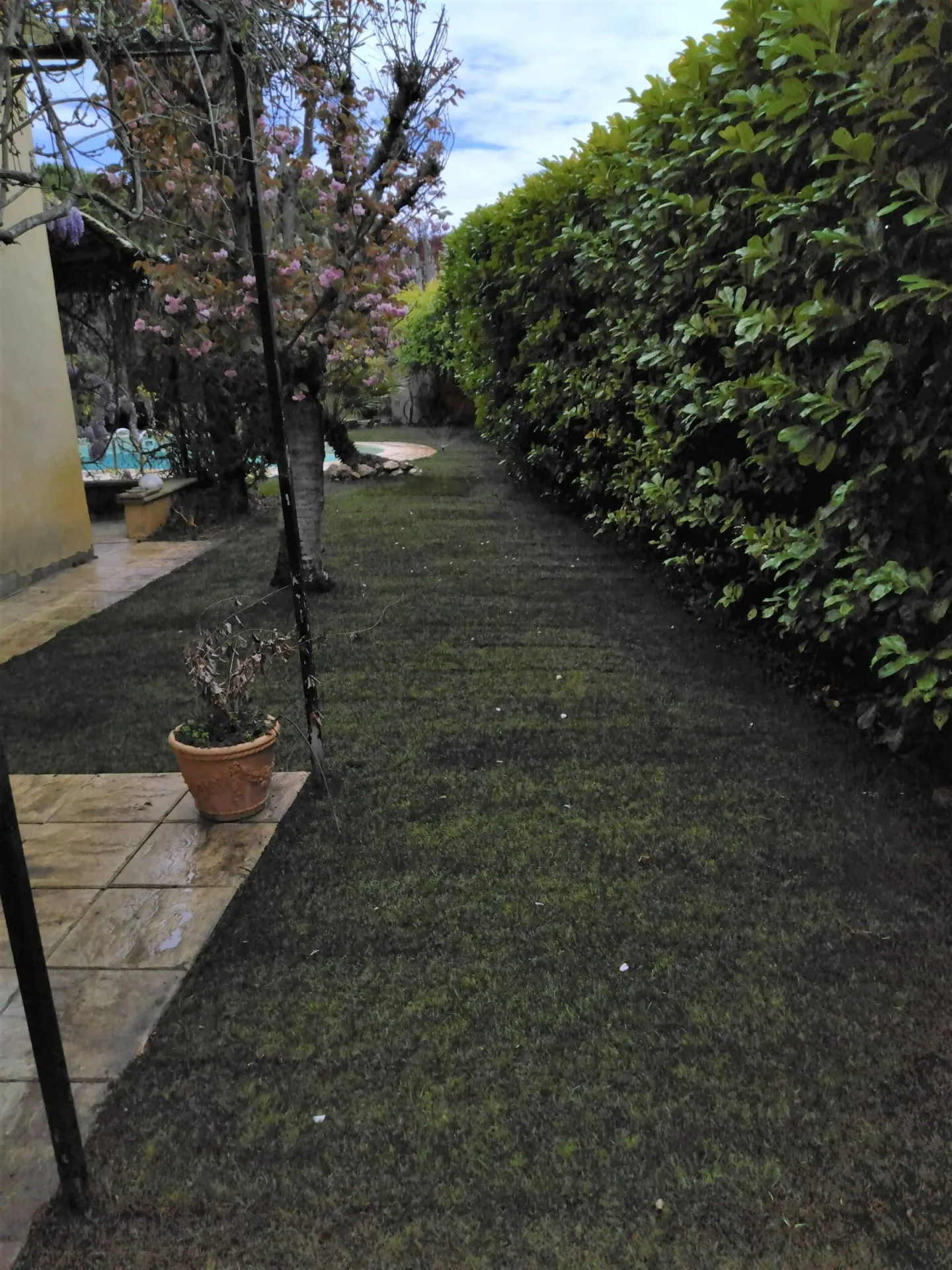 Remise en etat d arrosage integre pour pelouse Aix en Provence Remise en etat d arrosage integre pour pelouse Aix en Provence