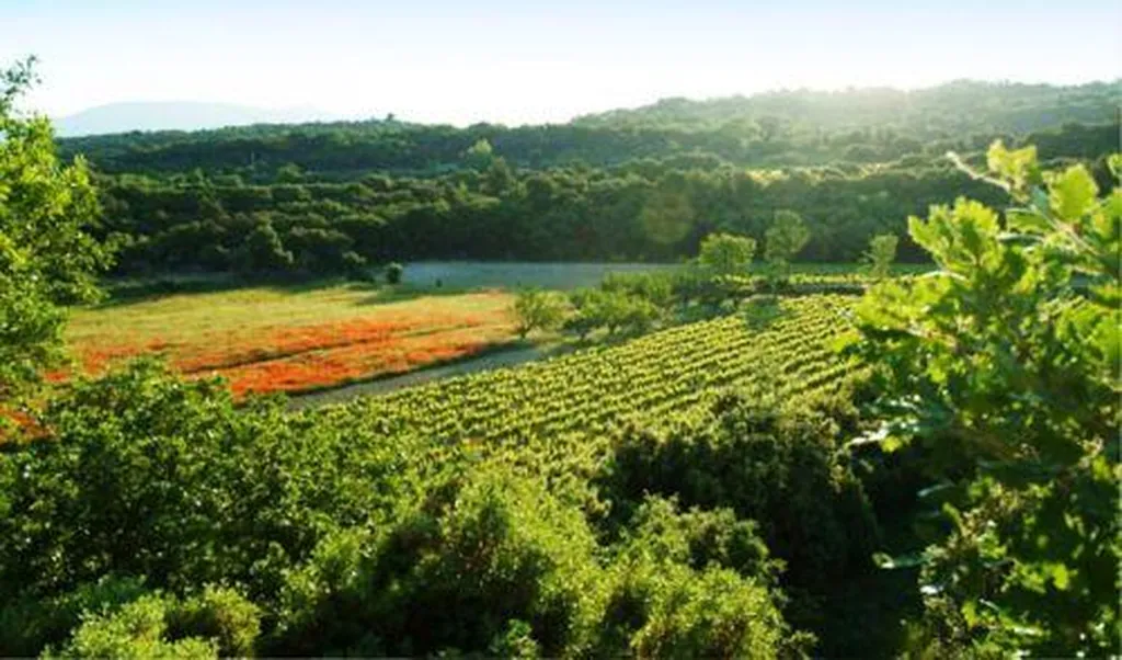Maison moderne dans un cadre de verdure en Comtat Venaissin.