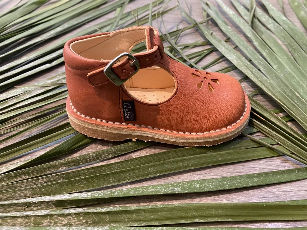 ASTER chez BABY VILA à LIBOURNE