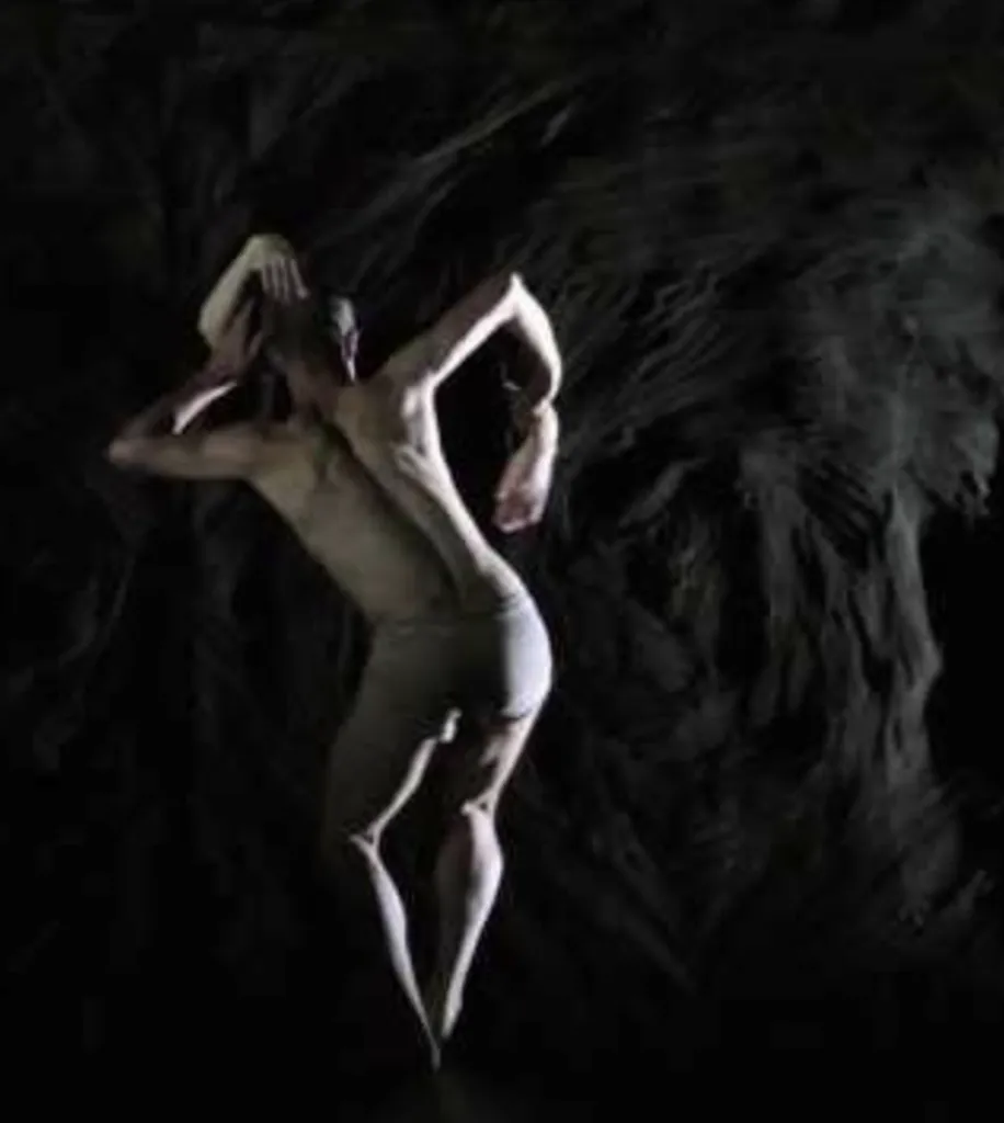 Guillaume Bordier Fragment 14 Chorégraphe - Danseur