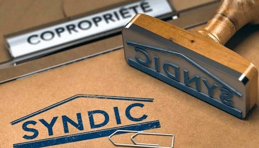 ENTREPRISE DE NETTOYAGE DES VITRES POUR UN SYNDIC DE COPROPRIÉTÉ À PARIS