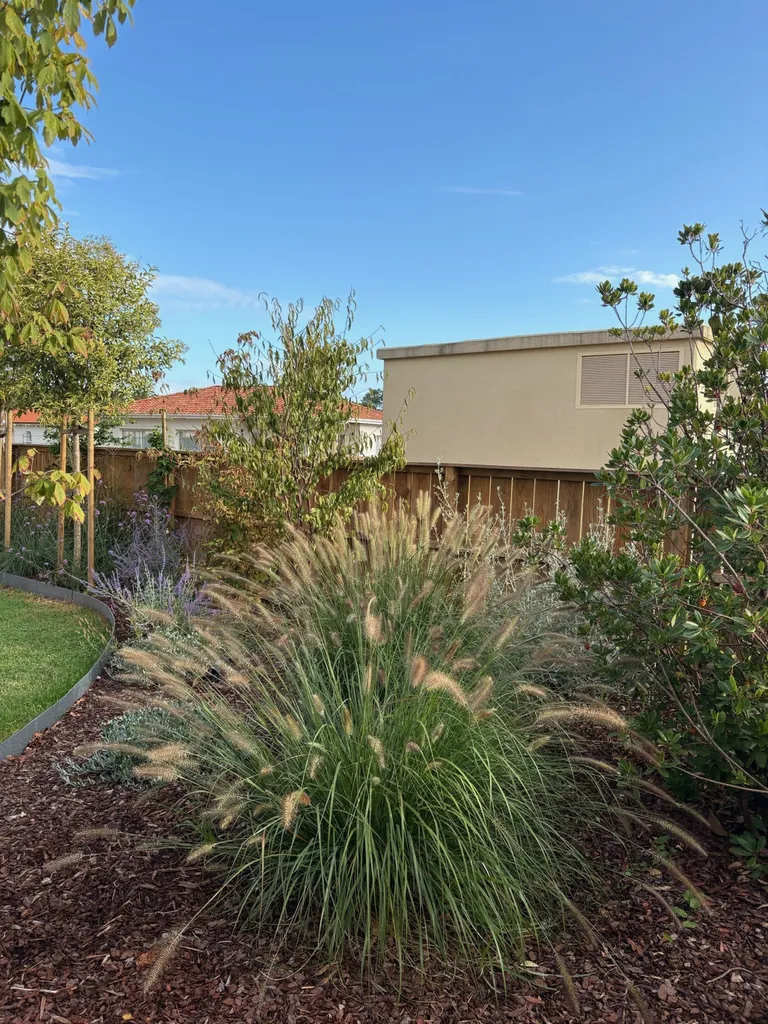 Aménagement complet de jardin à Mimizan – Création de massifs, plantation de vivaces et gazon micro-trèfle