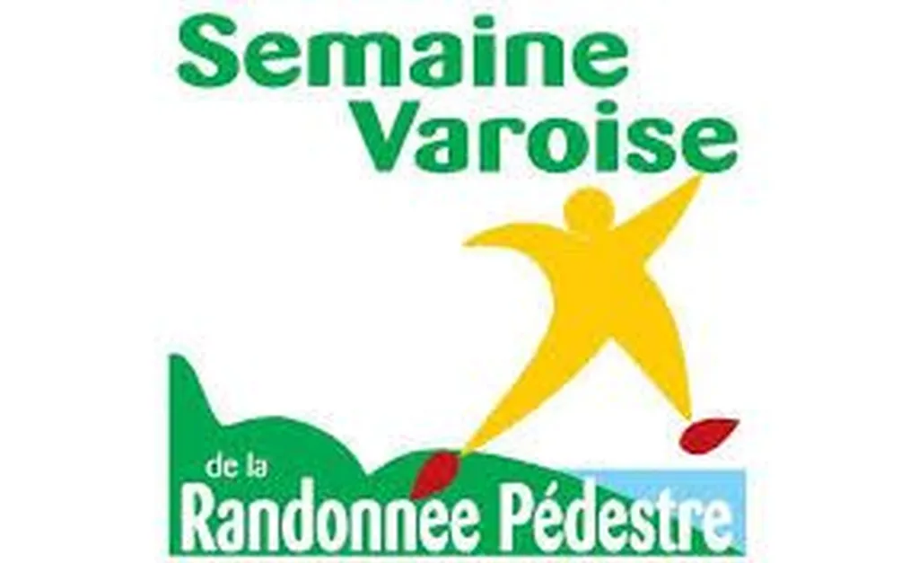 Nos prestations sur le secteur deLe Lavandou Var