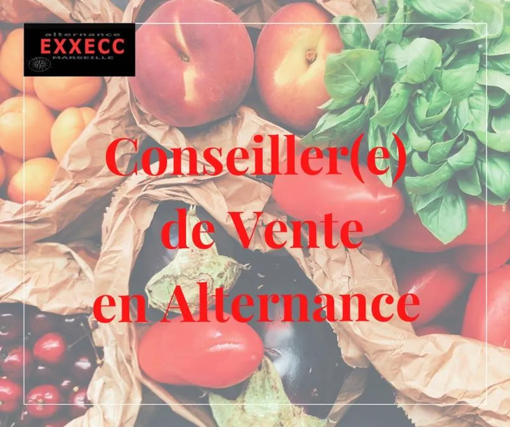 Conseiller(e) de vente en contrat d'apprentissage - POURVU
