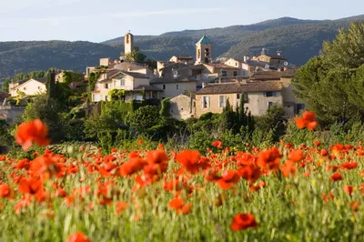 Lourmarin, village du Sud Luberon : château Renaissance, ruelles animées, terrasses et art de vivre provençal.