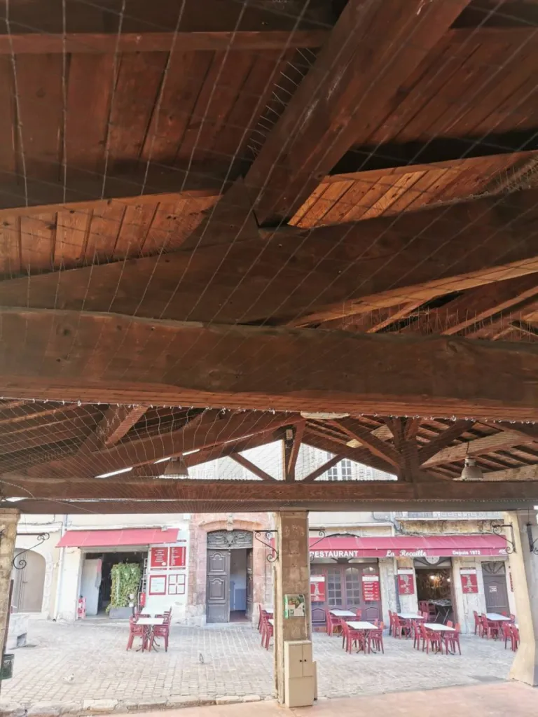 entreprise antipigeon aix en provence