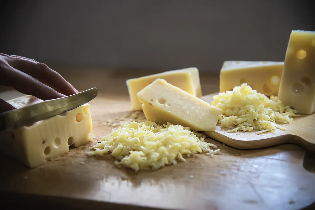 fromage pasteurisé bio