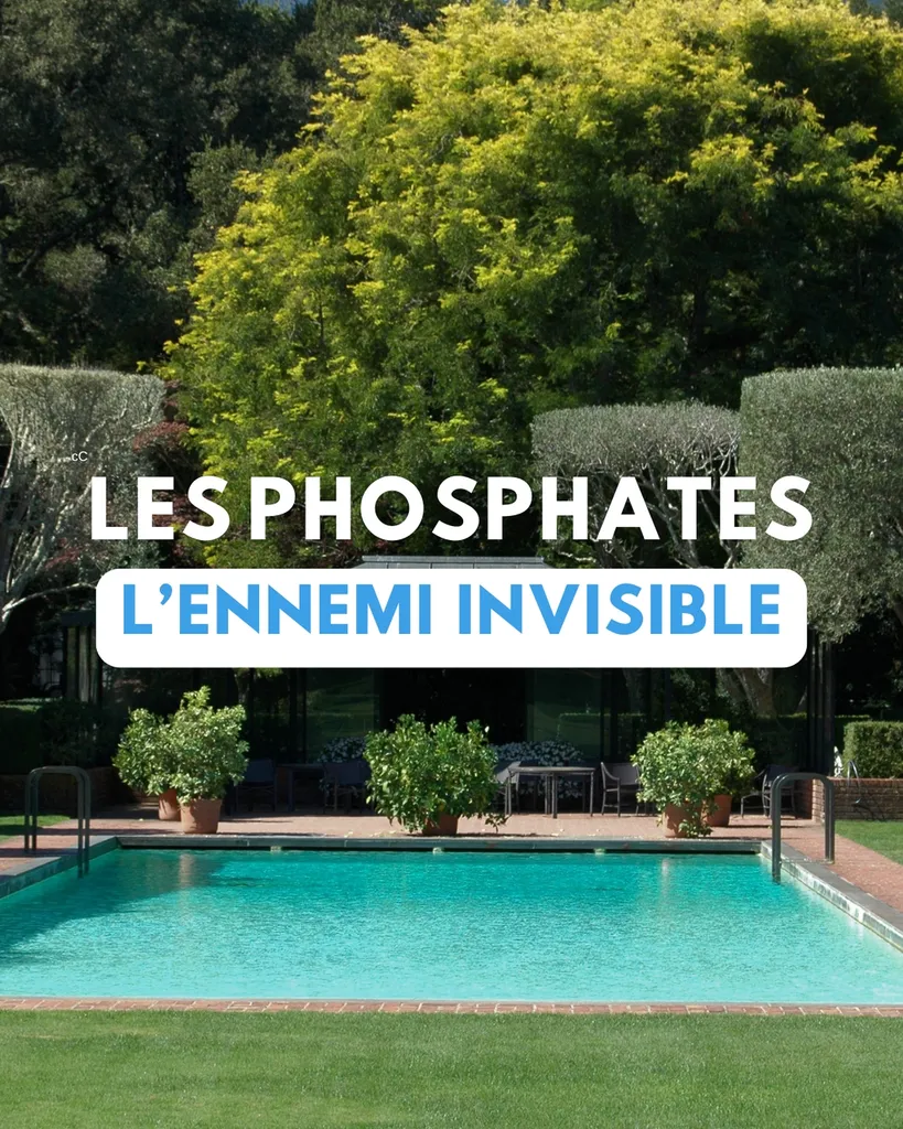 Phosphates dans la piscine : un ennemi invisible à surveiller