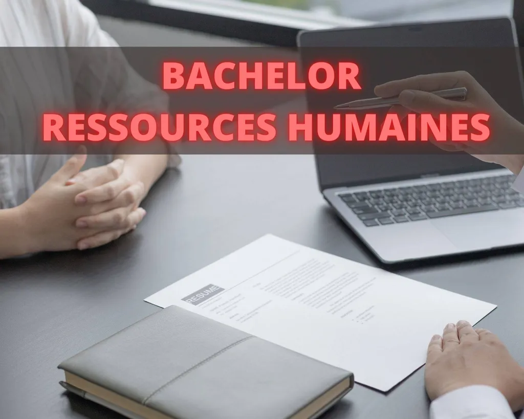 Bachelor Européen Gestionnaire des Ressources Humaines