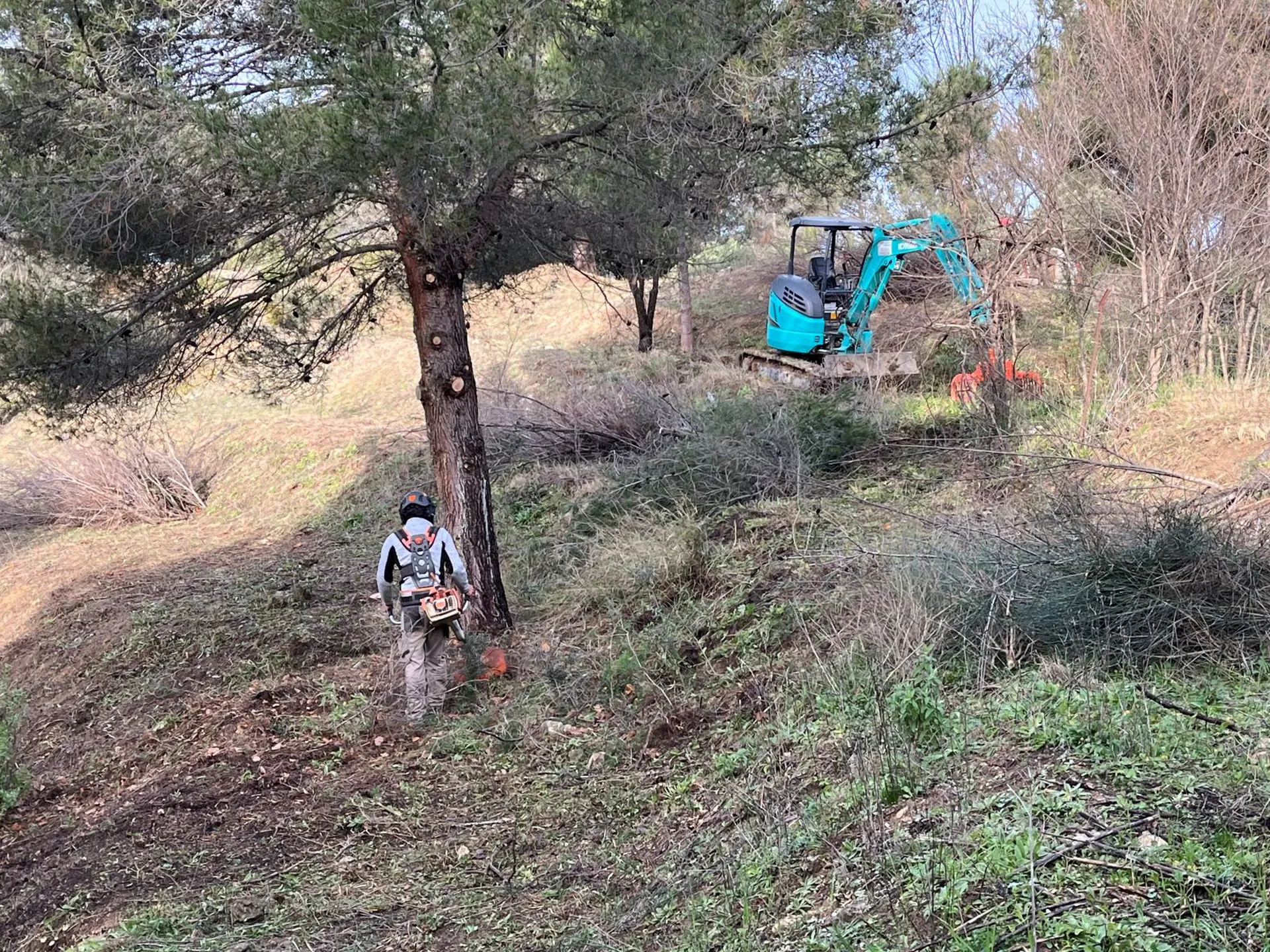 Travaux de débroussaillage réglementaire mécanisé et manuel dans le cadre OLD à Velaux par AEP professionnelle certifiée