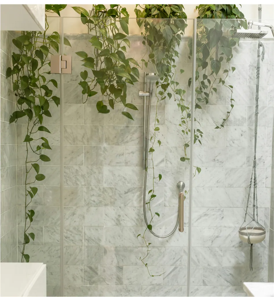 Maison TROPINI ,entreprise de peinture avec plus de 10 ans d'expériences : rénovation intérieure, murs et plafonds avec finitions soignées pour particuliers et professionnels