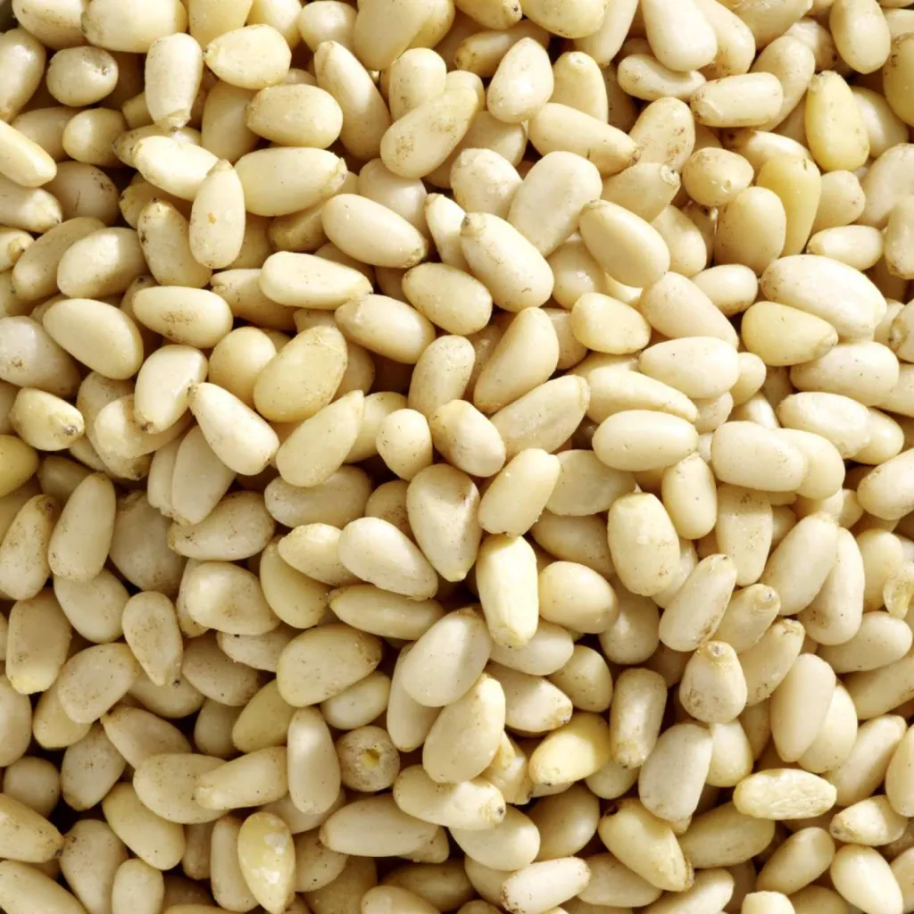 photographe pour l'industrie agroalimentaire close-up macro ingrédient pignons de pin