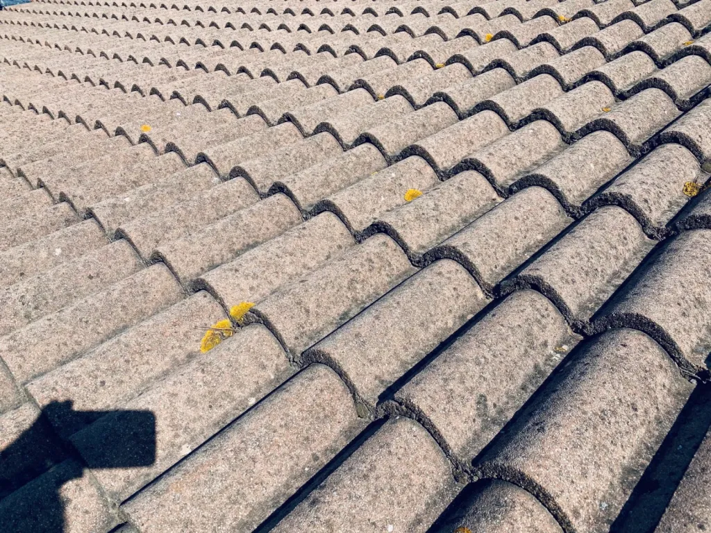 Traitement de tuiles béton Redland d’une maison individuelle sur Aix en Provence.