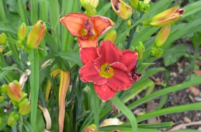 UNE RÉALISATION À LA HAUTEUR D'UN CHÂTEAU D'EXCEPTION SITUÉ DANS LE MÉDOC