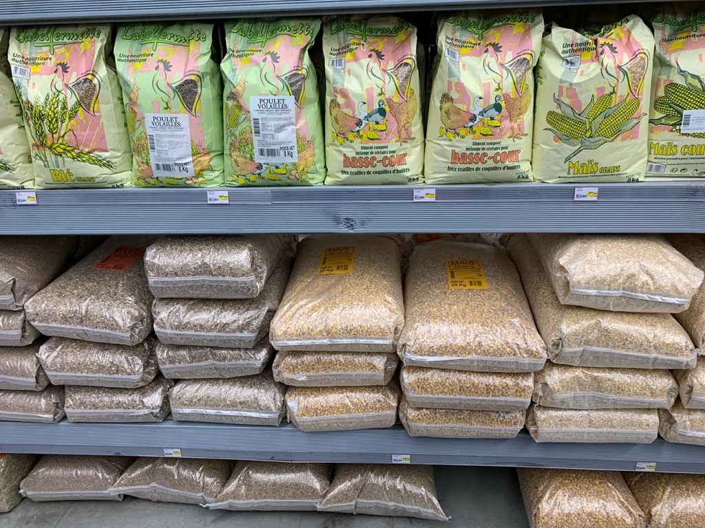 Acheter de l’alimentation pour rongeurs, oiseaux et poissons