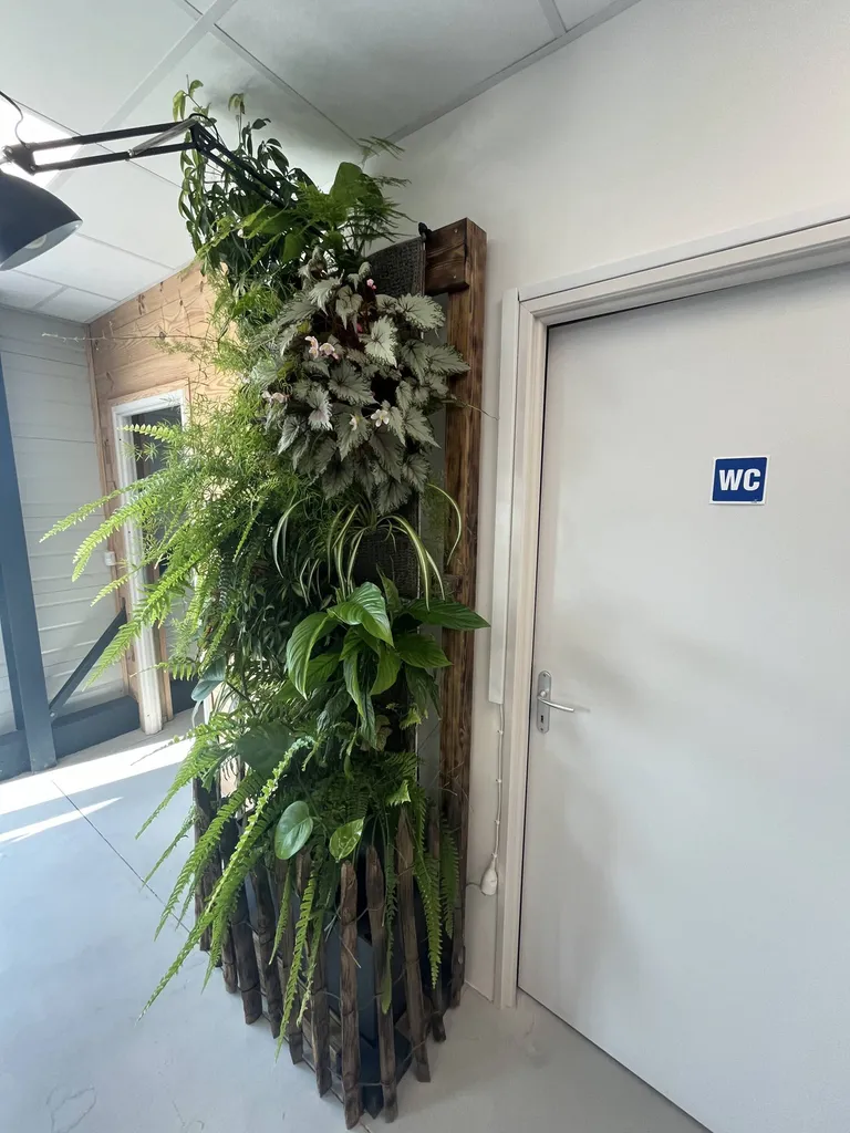 Un mur végétalisé d'intérieur sur mesure près de Biscarrosse : Des espaces esthétiques  dans votre showroom
