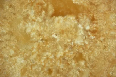 Onyx Cappuccino Cross